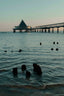 Golden Hour on the Pier