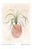 Watercolor houseplants 1