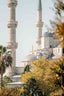 Blue Mosque Istanbul