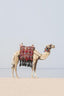 Desert Camel