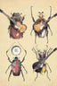 Meet The Beetles