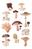 Mushrooms