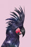 Galaxy Bird