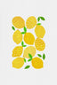 Lemon Crowd