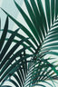 Palm Leaves