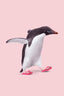 Flip Flop Penguin