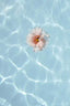 Floating Flower