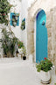 Front Door Sidi Bou Said Tunisia Vertical