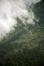 Hiking Through Greens & Clouds