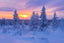 Lapland Sunset Art Print