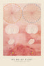 The Ten Largest No.9 (SE) - Hilma Af Klint